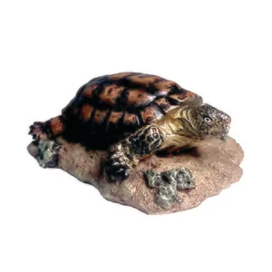 DESERT TORTOISE 4"