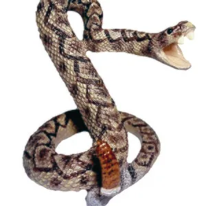 MED- DIAMONDBACK STRIKING 4" H